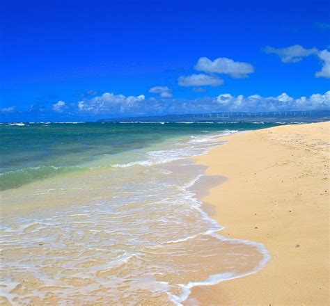 Free photo: Beach, Paradise, Tropical, Ocean - Free Image on Pixabay - 1523191