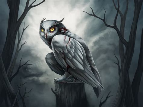 15+ Beautiful Owl Artworks | Free & Premium Templates