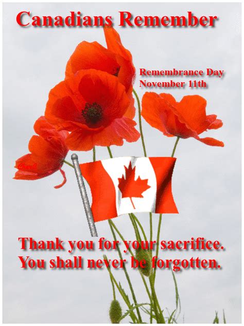 Canada's Remembrance Day, November 11th. We shall never forget. | Remembrance day, Remembrance ...