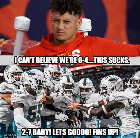 The 25 Funniest Miami Dolphins Memes, Ranked