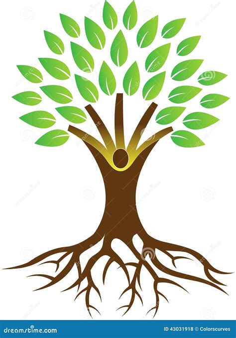 Cartoon Tree Drawing With Roots : Tree with roots on white background. - Dreamsof