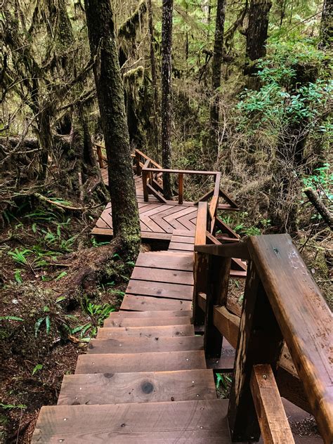 17 Incredible Tofino Hiking Trails: A Hiker's Guide to Tofino, Ucluelet and Pacific Rim National ...