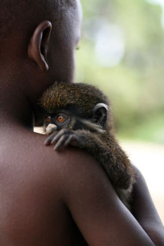 African Boy With Monkey Stock Photo - Download Image Now - iStock