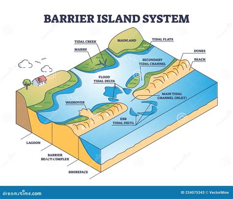 Barrier Island System As Dune Type And Coastal Landforms Outline Diagram Cartoon Vector ...