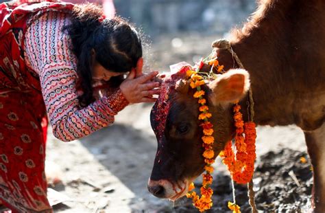 Tihar (Festival of Illumination) of Hindus for prosperity and peace ...