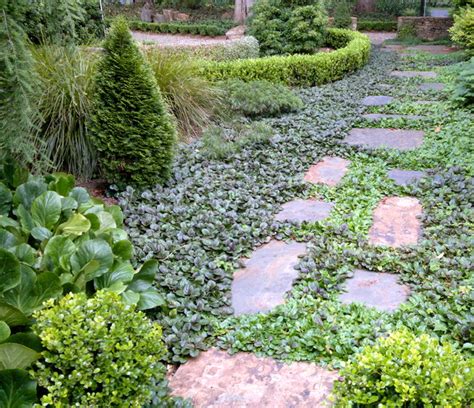 Ground Force: 10 Top Ground Covers for Your Garden