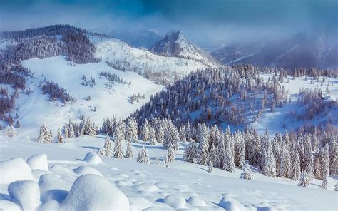 HD wallpaper: trees on mountain covered with snow, austria, mountains ...