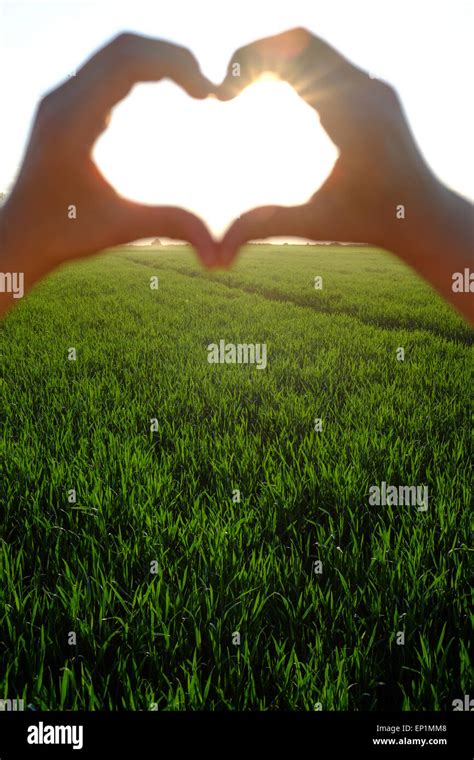 Hands showing heart symbol, beautiful sunset landscape in the background Stock Photo - Alamy