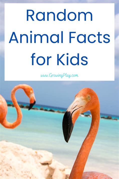 Random-Animal-Facts-for-Kids - Growing Play