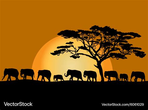 Herd of elephants Royalty Free Vector Image - VectorStock