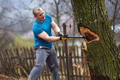 7 BEST Felling Axes Reviews: Swedish, Finnish, German, US Axes