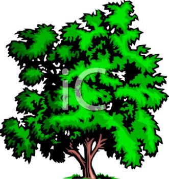 Forest Clipart at GetDrawings | Free download