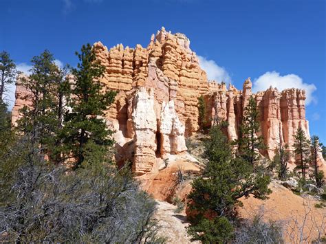 Line of hoodoos: Fairyland Loop Trail, Bryce Canyon National Park, Utah