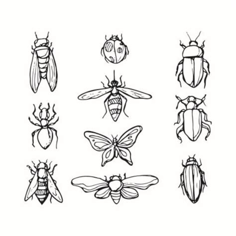 Free Sketch Insect Icon Vector 165209 Vector Art at Vecteezy