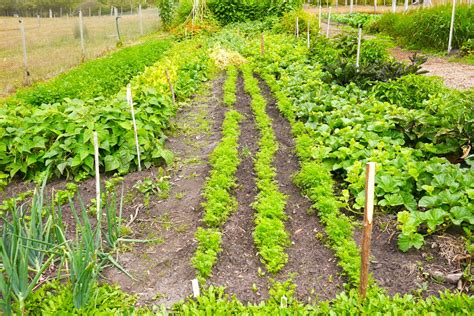 Visiting The Agrarian Kitchen in New Norfolk, Tasmania - Milkwood: permaculture courses, skills ...