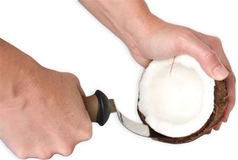 Coconut Tool Stainless Steel Coconut Meat Removal Knife - Live Love Fruit