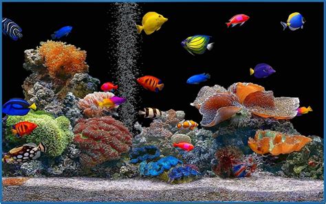 Full hd screensaver aquarium - Download free