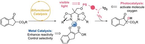 Photochemical Synthesis-the xiao group