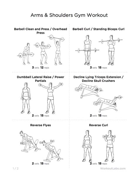 Toned & Strong Arms & Shoulders Gym Workout for Men & Women