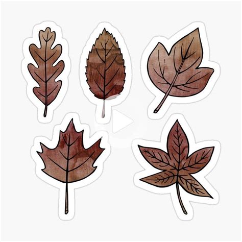 'Brown Leaves' Sticker by Olooriel | Autumn stickers, Bullet journal stickers, Print stickers