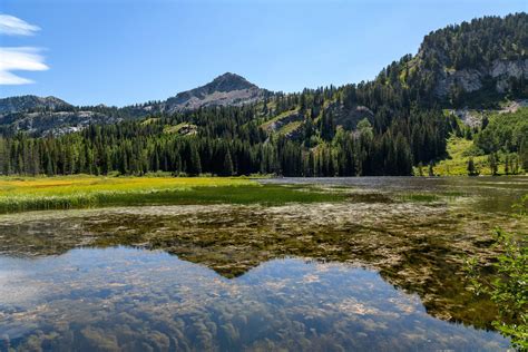 Silver Lake - Amazing America