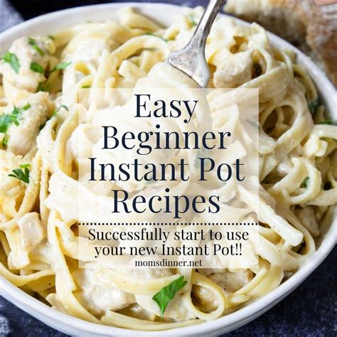 Easy Instant Pot Recipes for Beginners - Mom's Dinner