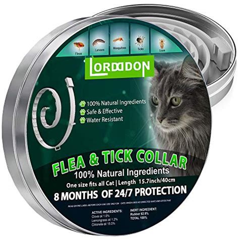 Top #9 Best Flea Collars For Kittens in 2024 | Reviews by Experts