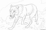 Wolf Head Adult Coloring Pages sketch template