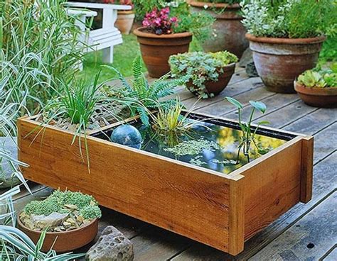 Container Water Gardens for Small Spaces - Landscaping Network