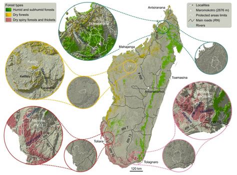 Case study sites. (Simplified forest types according to [17]; circles ...