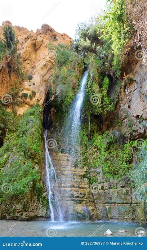 David's Waterfall, Ein Gedi Royalty-Free Stock Photography | CartoonDealer.com #67243637