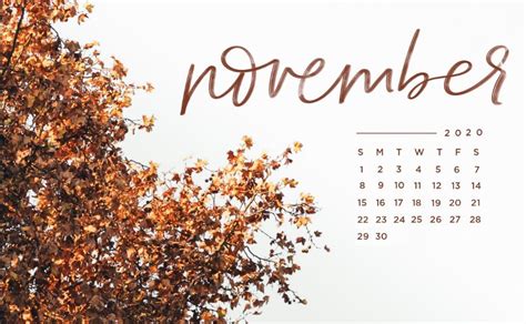 Beautiful November 2020 Desktop Wallpaper | November backgrounds, Desktop wallpaper calendar ...