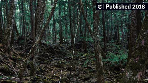 Long Before Video, Japanese Fought Suicide in the ‘Sea of Trees’ - The ...