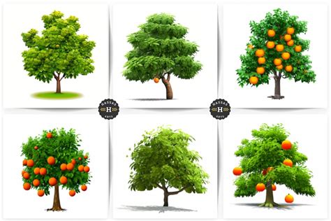 Summer Trees Illustration Graphic by Hassas Arts · Creative Fabrica