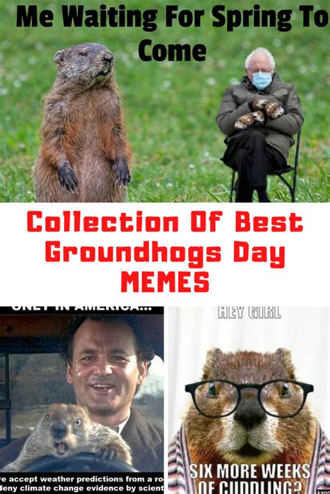 Collection Of Groundhogs Day Memes 2021 - Guide For Moms