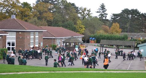 Renewable Solutions Lighting | Northgate Primary School