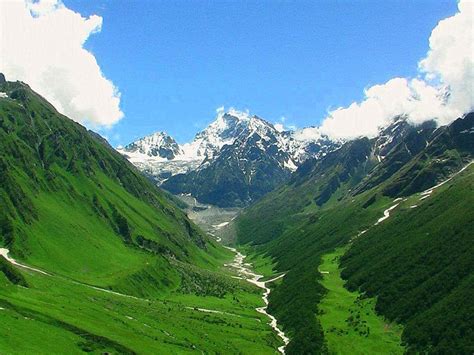 5 Important things to consider before undertaking Valley Of Flowers Trek – WANDER THE HIMALAYAS