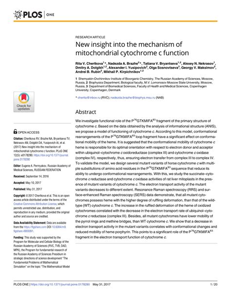 (PDF) New insight into the mechanism of mitochondrial cytochrome c function