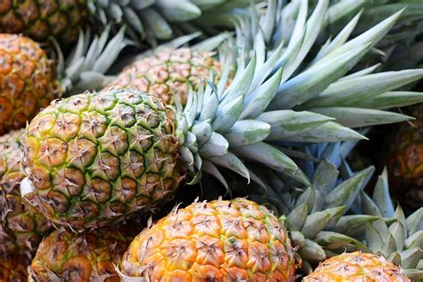 Costa Rican Pineapple Exporters Pioneer the Chinese Market | Produce Report