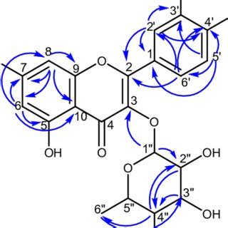 Quercitrin structure with key HMBC (H C) | Download Scientific Diagram