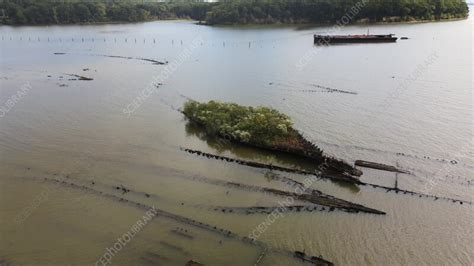 Aerial view of Mallows Bay, Maryland, USA - Stock Video Clip - K013/5976 - Science Photo Library