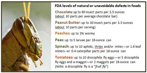 Worldwide Entomophagy - EntomopHagy