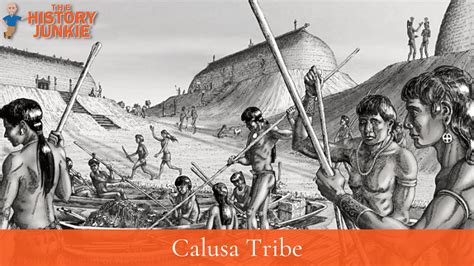 5 Interesting Facts About The Calusa Tribe - The History Junkie