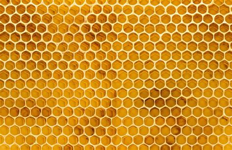 honeycomb-texture-wallpaper-mural-plain | Textured wallpaper, Honeycomb ...