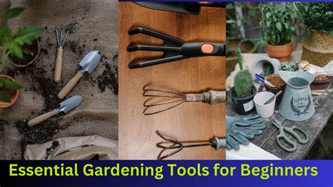 Essential Gardening Tools for Beginners || #garden #gerdeningtools # ...