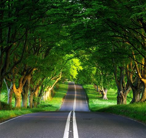 4k Nature Road Wallpapers - Wallpaper Cave