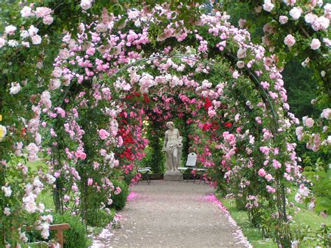 Details 48 jardines con rosas - Abzlocal.mx