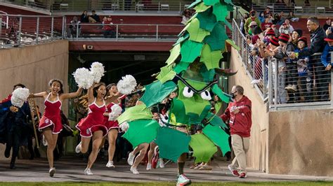 Stanford Tree mascot suspended for holding 'Stanford hates fun' sign during game - CBSSports.com