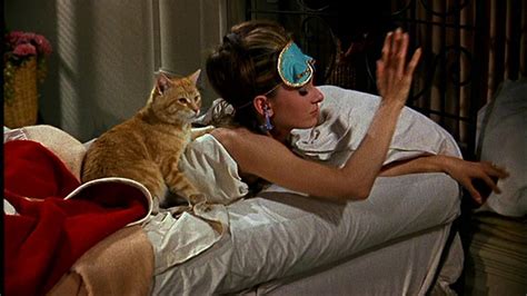 10 Best Movie Cats (Did Your Favorite Cinematic Feline Make The List?)