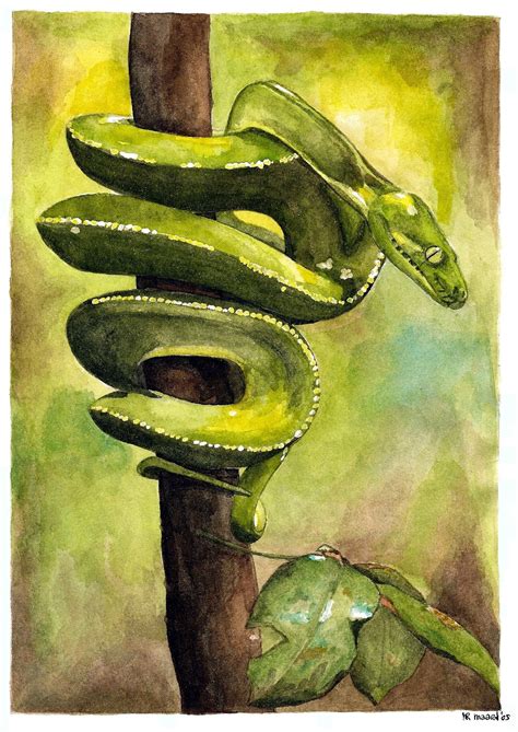 Watercolour of a snake by Marianne Rijvers | Abstracte kunst, Abstract, Kunst